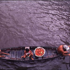 Cotidiano Amazônico