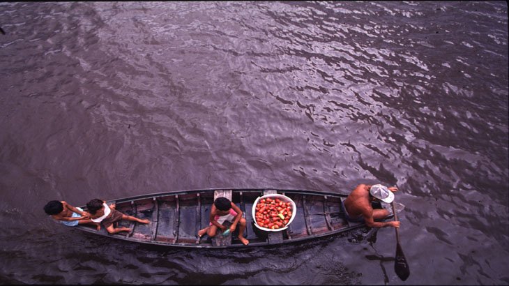 cotidiano-amazonico-temporario