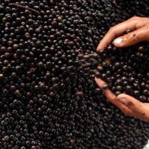 Sustentabilidade & Território