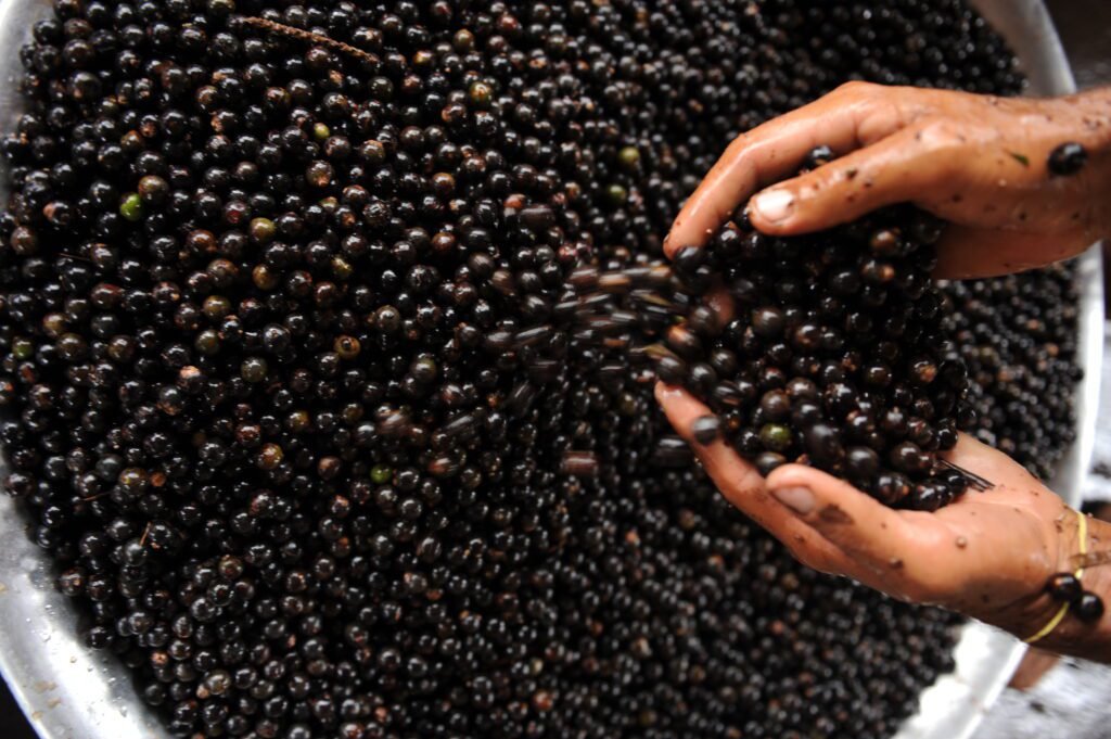 sustentabilidade-temporario01